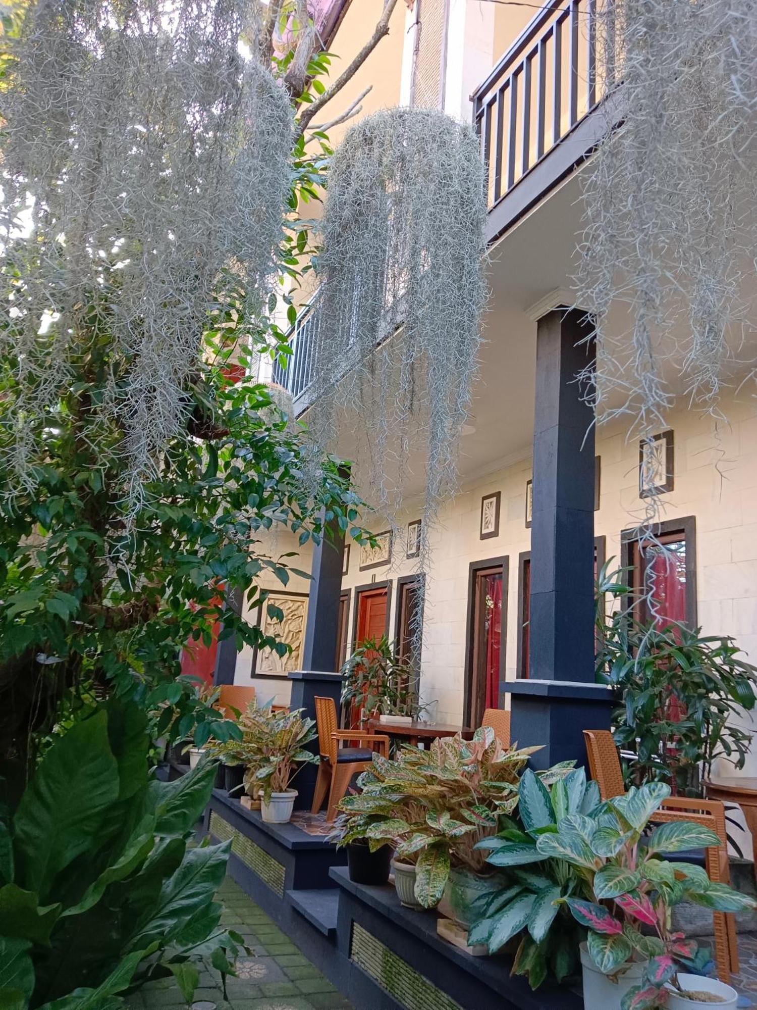 Double N Guesthouse Sanur Exteriér fotografie